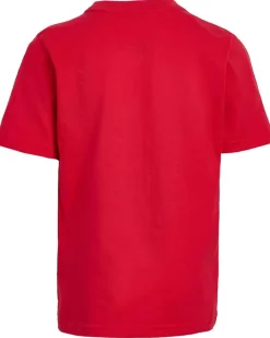 adidas Kids Graphic Cotton Tee 3S Shorts Set (Toddler/Little Kid)