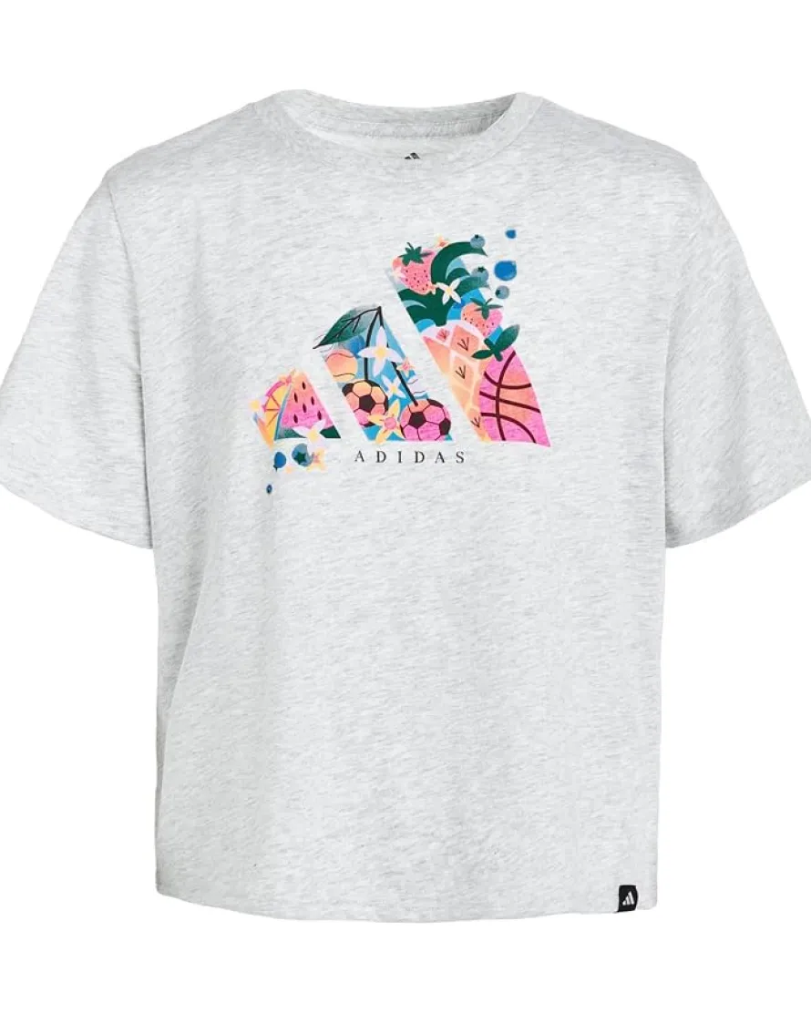 adidas Kids Graphic Heather Tee (Big Kid)