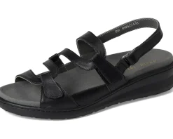 David Tate Femme Women's