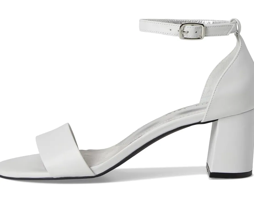 David Tate Timeless Women's