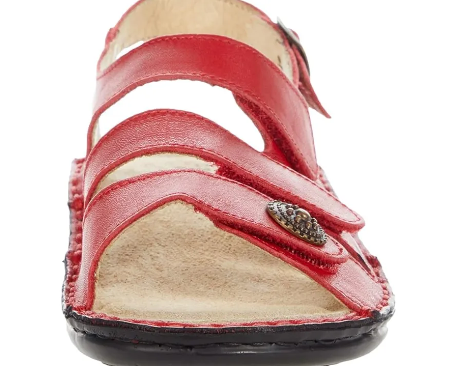 David Tate Wrap Women's