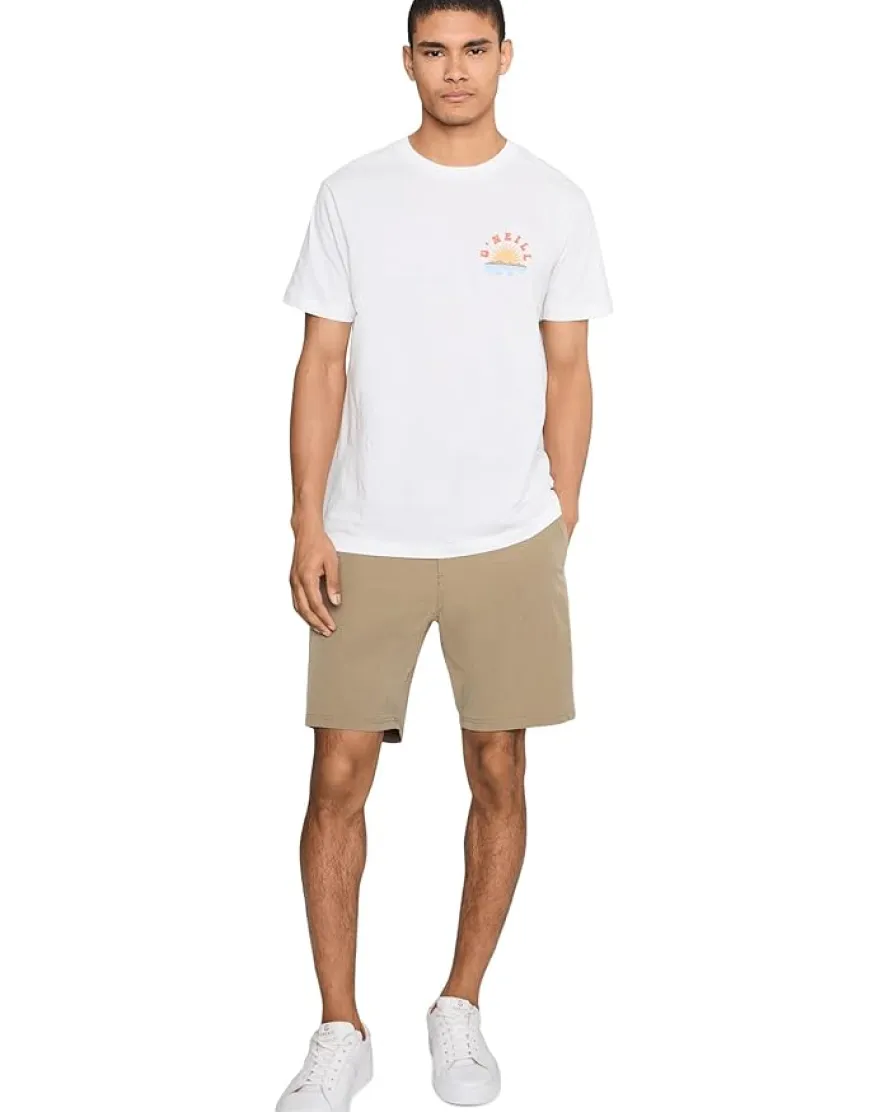 O'Neill Reserve Light Check 19'' Shorts Men's