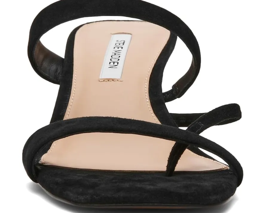 Steve Madden Ajay Women's