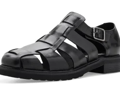 Steve Madden Havana Men's