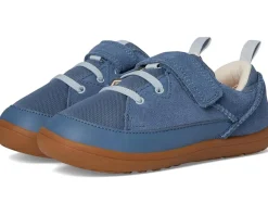 UGG Kids Adventurer Sneaker (Toddler/Little Kid)