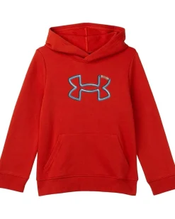 Under Armour Kids Carabiner Hoodie (Big Kid)